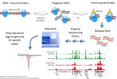 24 Ways AVITI24™ High Dimensional Multiomics Can Transform Your Research figure 1
