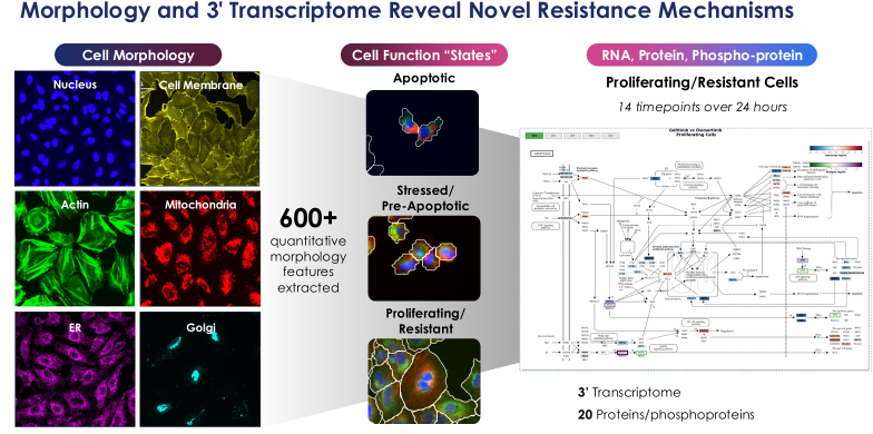 Closing the Gaps: Shifting Trends in Cancer Research in the Era of Multi-Layer Profiling