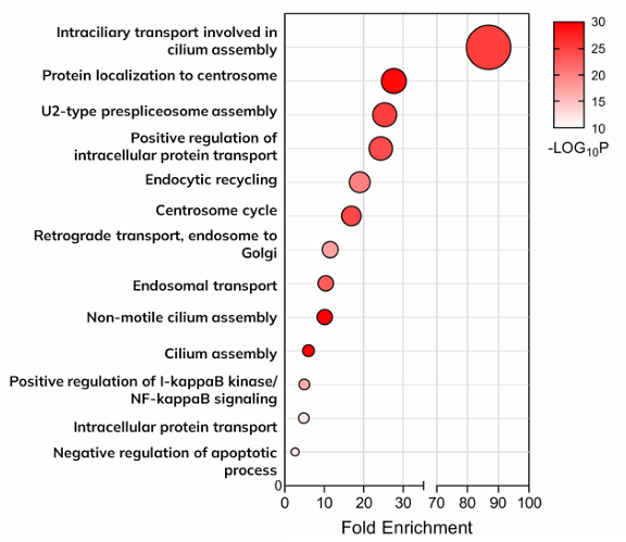 Commercial Scope: Nanoscopic Proteomics in Diagnostics Development figure 1