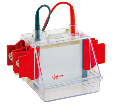Hoefer Western Blot Systems figure 1