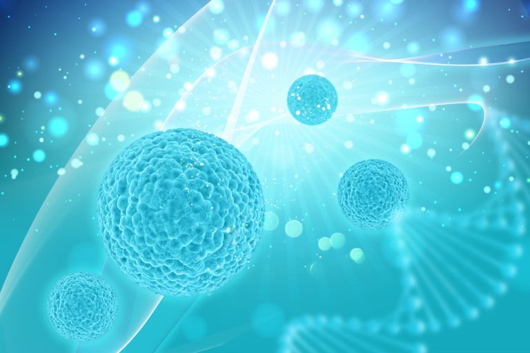 From Microbe to Human: Understanding the Different Types of Cells