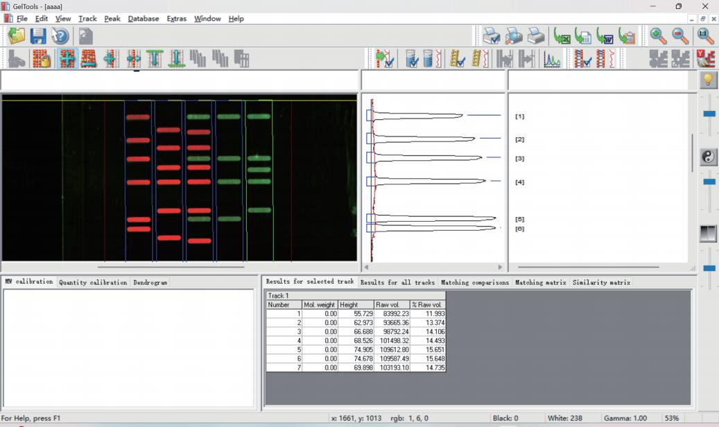 GelTools Analysis Software