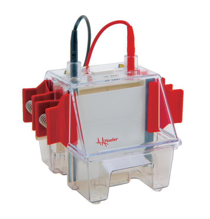 SE250/SE260 Mighty Small II Mini Vertical Electrophoresis Units