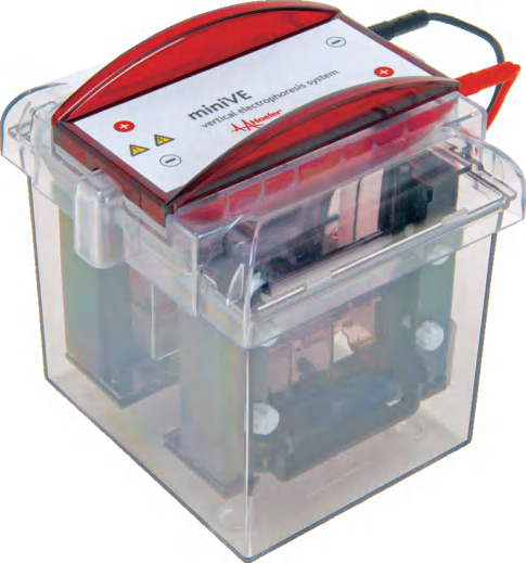 SE300 miniVE™ Integrated Vertical Electrophoresis and Blotting Unit