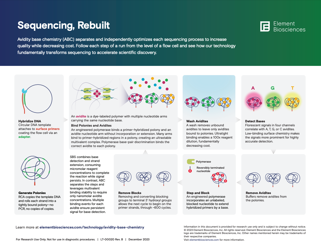How ABC Works Infographic