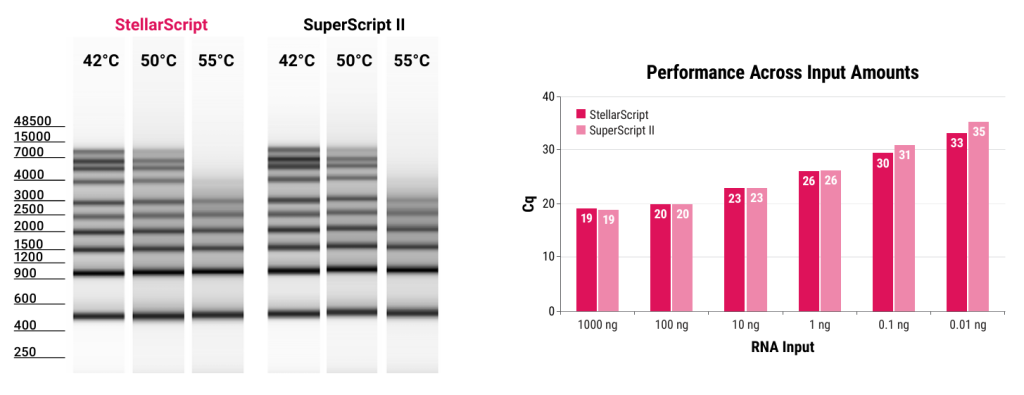 Reverse transcriptases (StellarScript family) figure 1