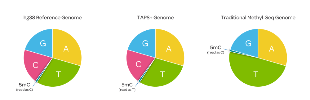 Base diversity comparison: hg38 Reference Genome, TAPS+ Genome, and Traditional Methyl-Seq Genome