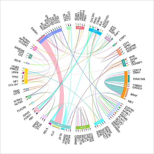 Fusion detection in pediatric oncology — whole transcriptome sequencing chord diagram